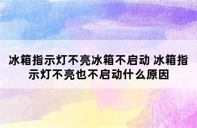 冰箱指示灯不亮冰箱不启动 冰箱指示灯不亮也不启动什么原因